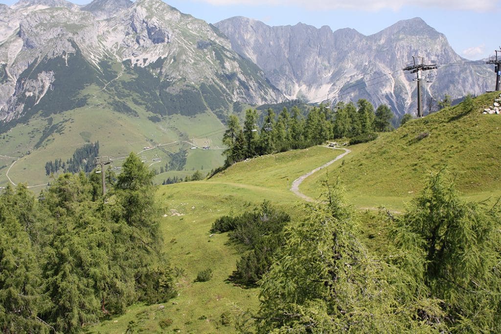 Almwiese Bergbestattung in Werfenweng_Naturbestattung GmbH