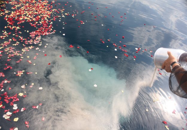 Aschenverstreuung im Meer Naturbestattung GmbH