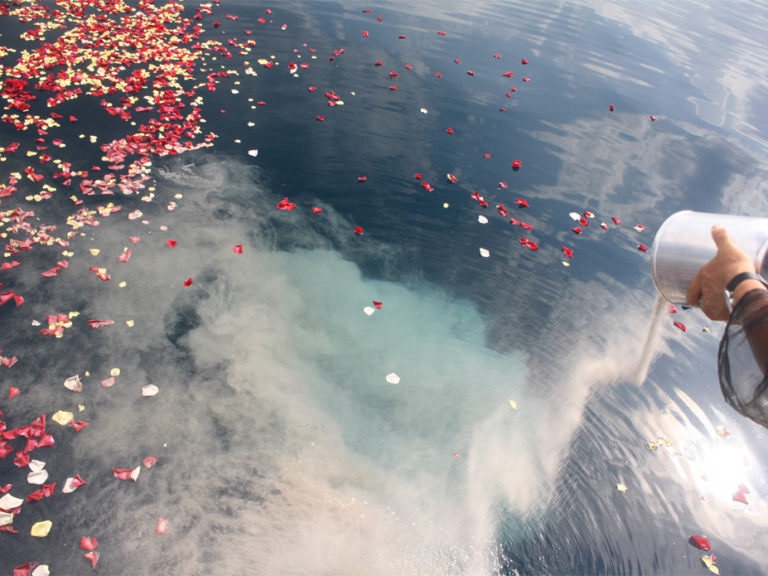 Aschenverstreuung im Meer Naturbestattung GmbH