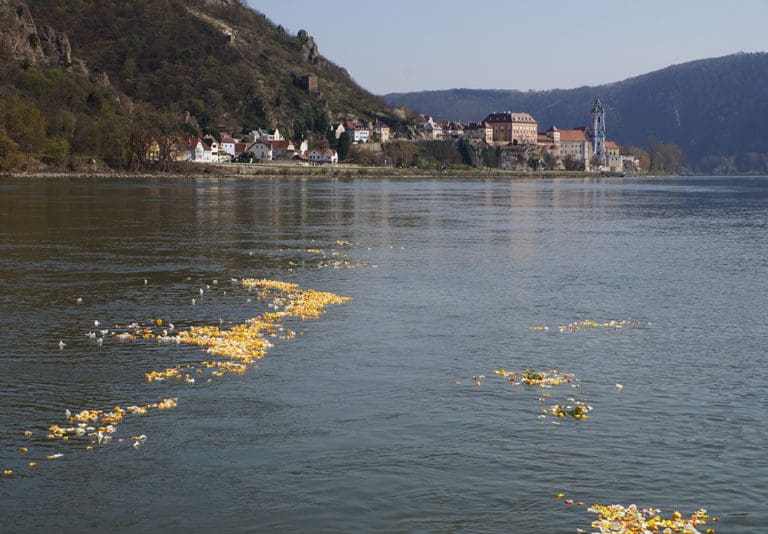 Flussbestattung_Donaubestattung in der Wachau_Donau_Blüten_Naturbestattung GmbH