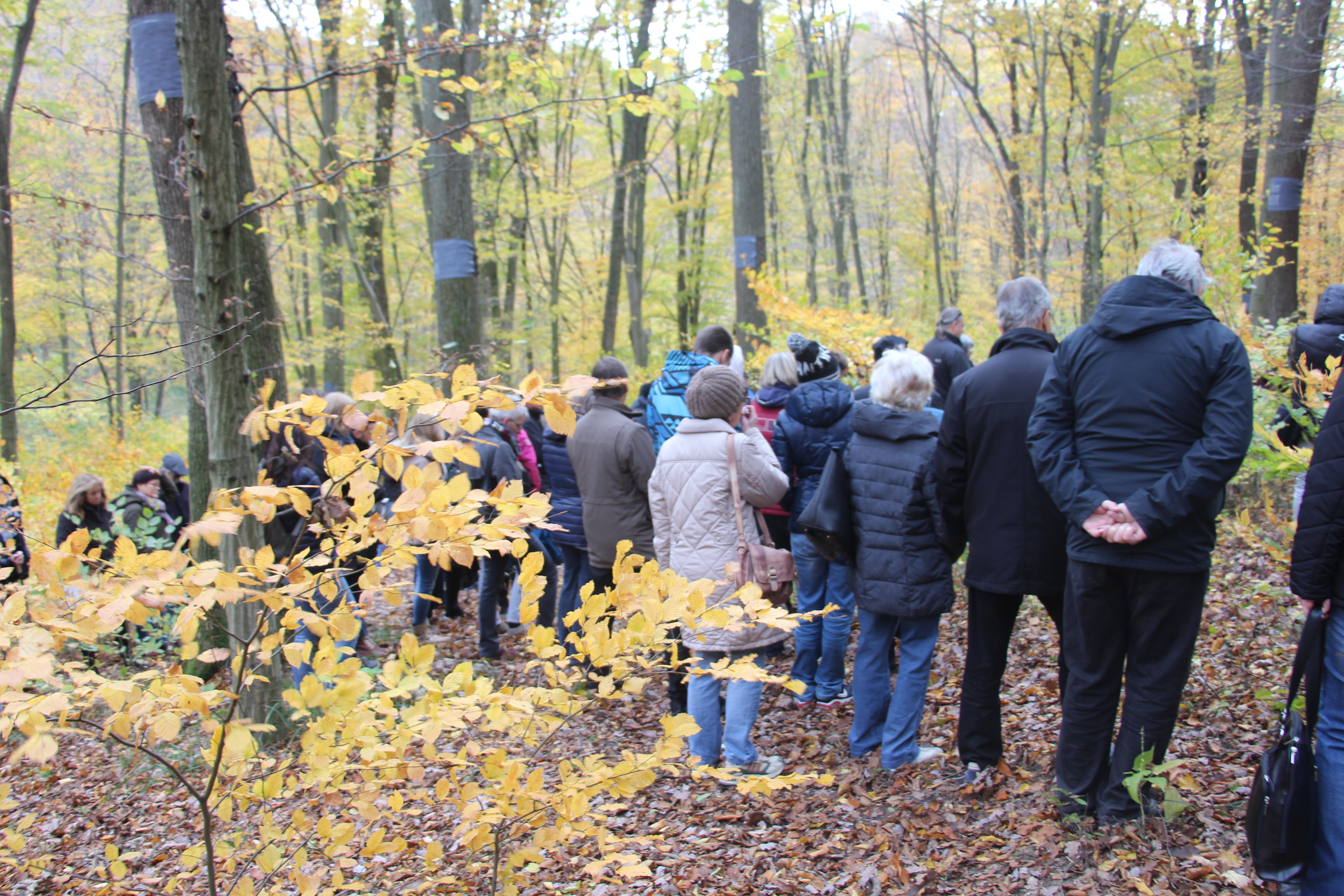 Gedenkfeier im Wald der Ewigkeit Allerheiligen Allerseelen Naturbestattung Gmbh Zadrobilek Baumbestattung Waldbestattung