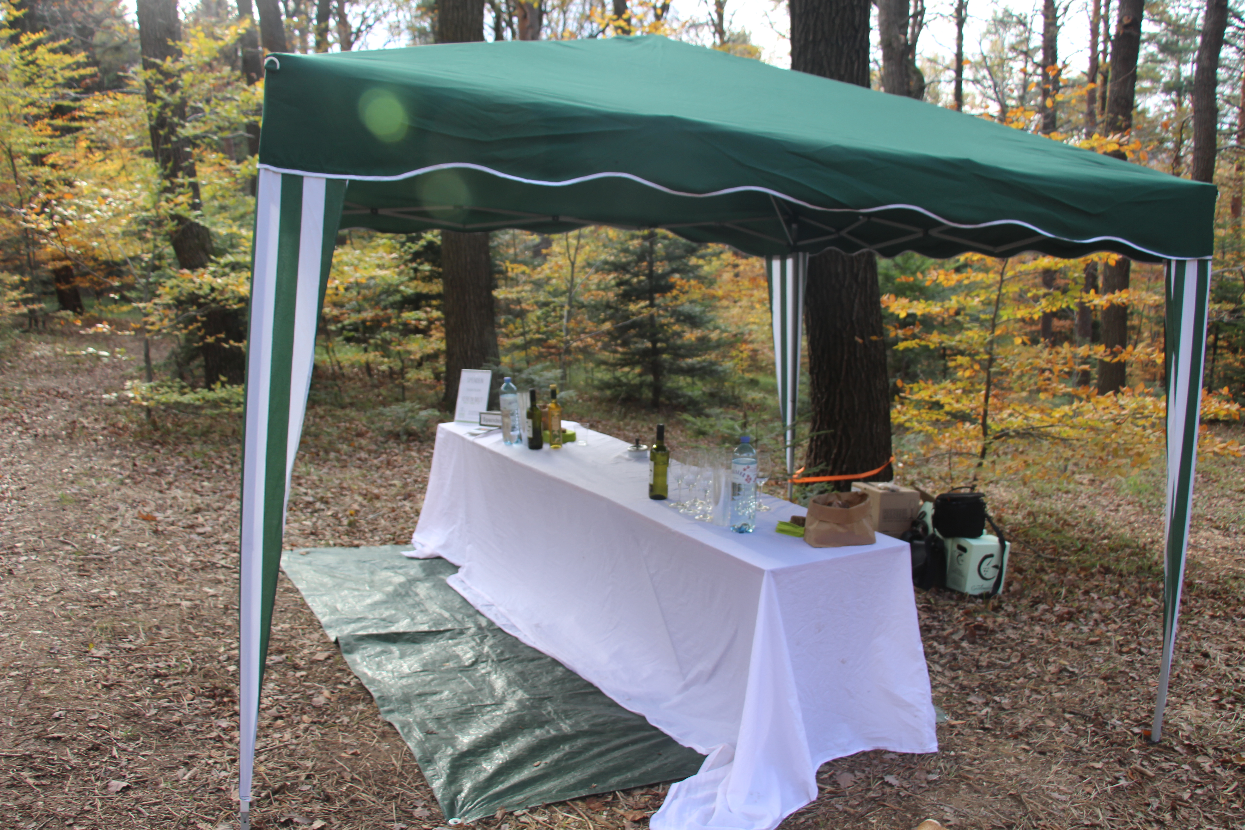 Gedenkfeier im Wald der Ewigkeit Allerheiligen Allerseelen Naturbestattung Gmbh Zadrobilek Baumbestattung Waldbestattung