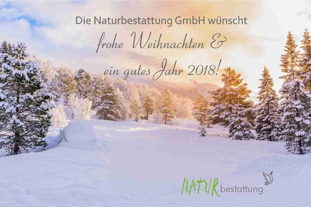Frohe Weihnachten_NAtubestattung GmbH