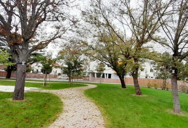 Baumbestattung-Wiener-Neudorf