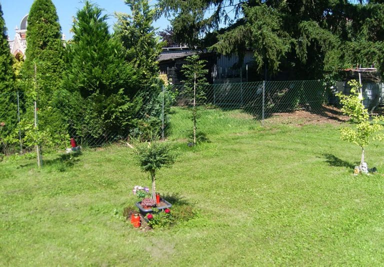 Baumfriedhof Graz Baumbestattung Naturbestattung GmH