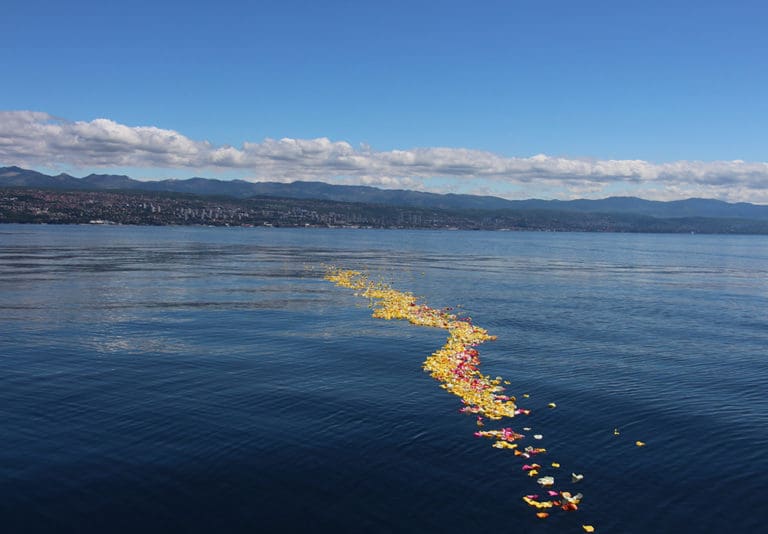 Meerbestattung in opatija Urnenbeisetzung im Meer Naturbestattung GmbH