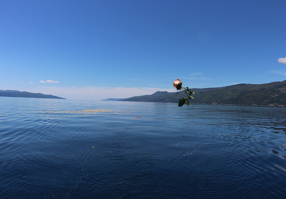 Meerbestattung in opatija Urnenbeisetzung im Meer Naturbestattung GmbH