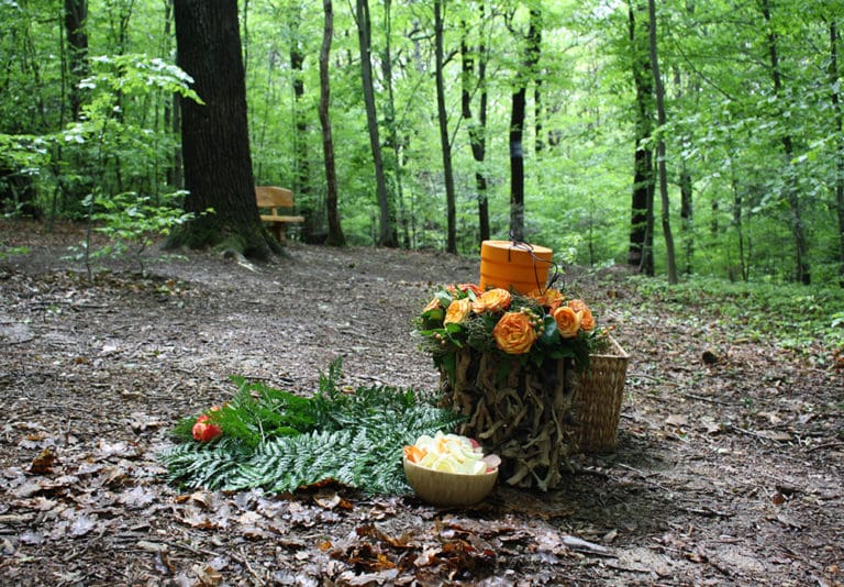 Baumbestattung im Wald der Ewigkeit in Gießhübl Mödling bei Wien Naturbestattung Gmbh Zadrobilek