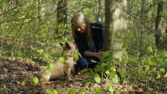 Menschen und Hunde Tierbestattung Baumbestattung Naturbestattung