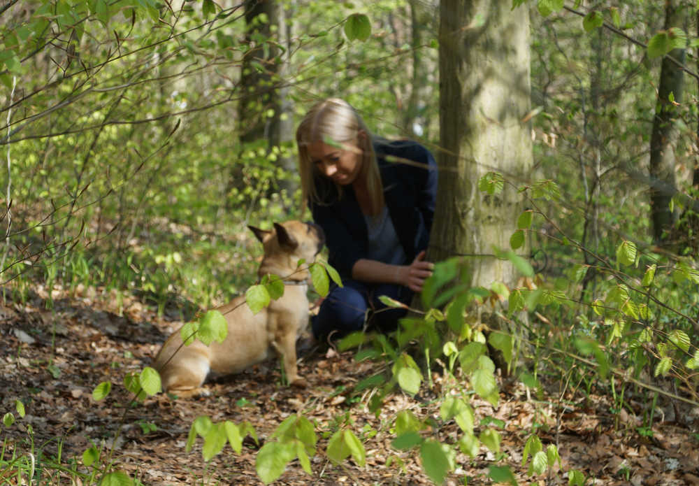 Menschen und Hunde Tierbestattung Baumbestattung Naturbestattung