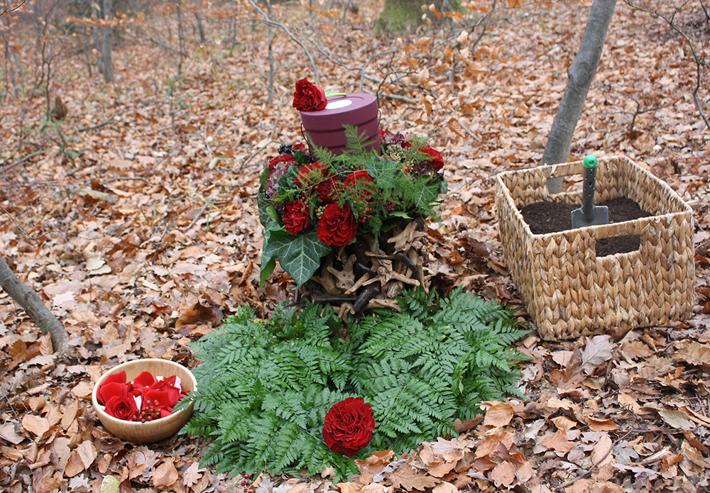 Baumbestattung im Wald der Ewigkeit