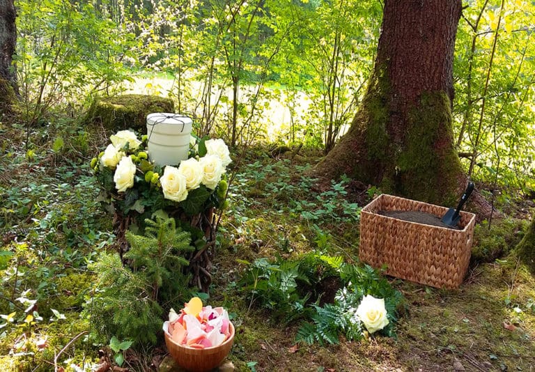 Baumbestattung und Urnenbeisetzung im Wald der Ewigkeit in Kundl Tirol Waldfriedhof_Naturbestattung Gmbh Zadrobilek