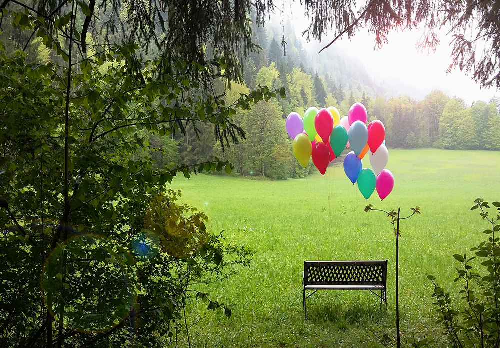 Baumbestattung und Urnenbeisetzung im Wald der Ewigkeit in Kundl Tirol Waldfriedhof_Naturbestattung Gmbh Zadrobilek