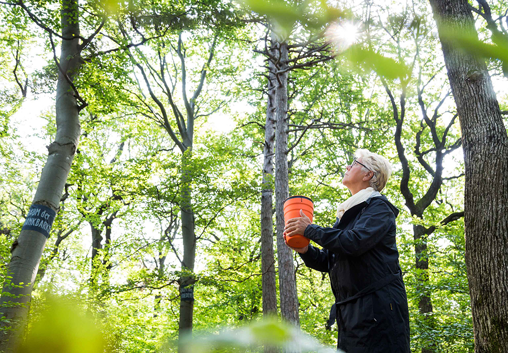 Baumbestattung im Wald der Ewigkeit in Gießhübl / Mödling bei Wien Waldfriedhof_Naturbestattung Gmbh Zadrobilek