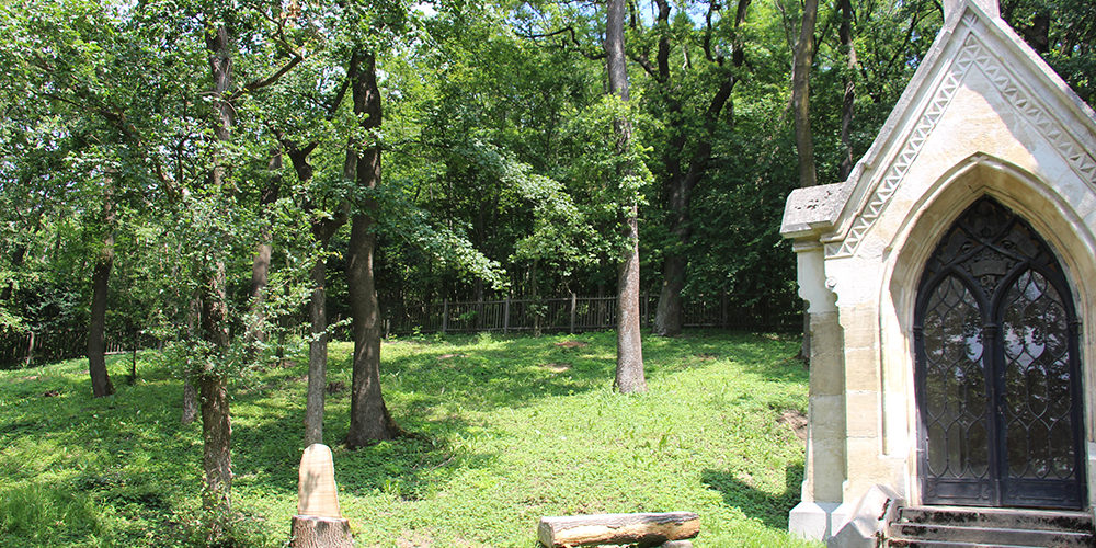 Baumbestattung am Kahlenberger Friedhof Walsfriedhof 1190 Wien In Kooperation mit Naturbestattung GmbH Zadrobilek