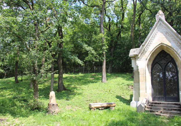 Baumbestattung am Kahlenberger Friedhof Walsfriedhof 1190 Wien In Kooperation mit Naturbestattung GmbH Zadrobilek