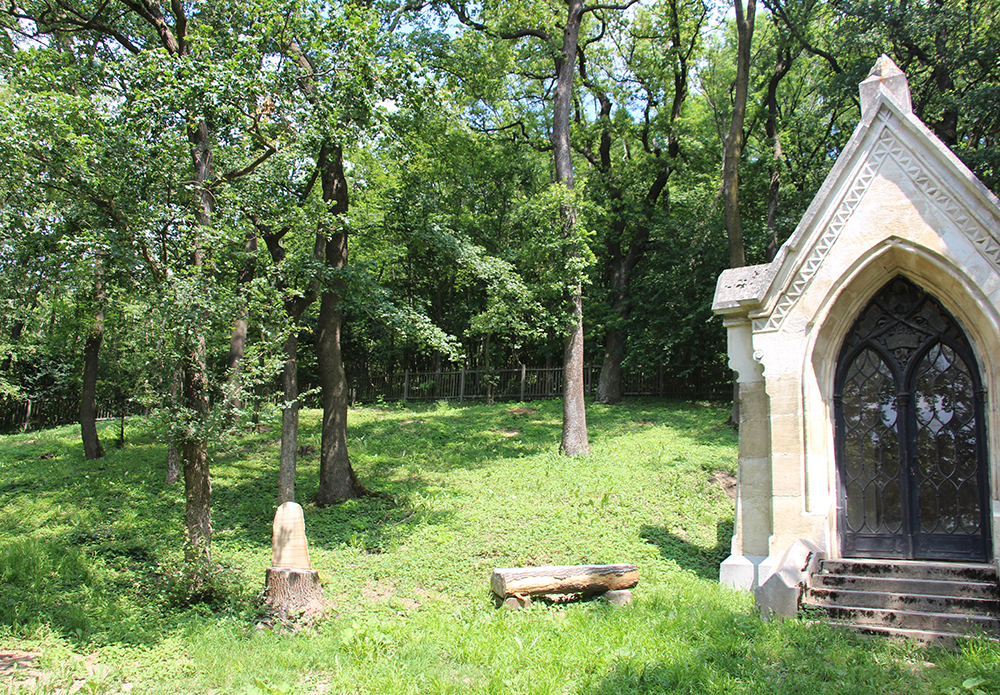 Baumbestattung am Kahlenberger Friedhof Walsfriedhof 1190 Wien In Kooperation mit Naturbestattung GmbH Zadrobilek