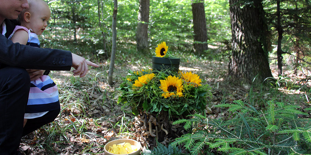 Noch mehr Vielfalt im Wald der Ewigkeit in Bisamberg