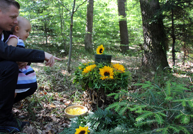 Noch mehr Vielfalt im Wald der Ewigkeit in Bisamberg