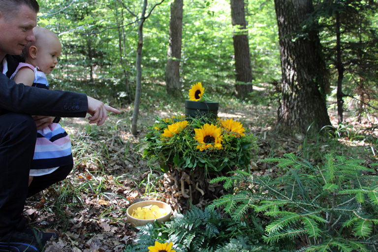 Noch mehr Vielfalt im Wald der Ewigkeit in Bisamberg