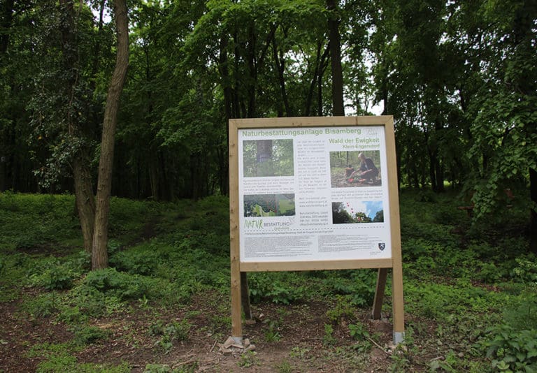 Naturbestattung Baumbestattung am Bisamberg bei Korneuburg Walsfriedhof 1190 Wien In Kooperation mit Naturbestattung GmbH Zadrobilek