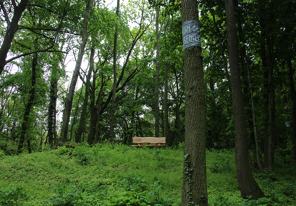 Naturbestattung Baumbestattung am Bisamberg bei Korneuburg Walsfriedhof 1190 Wien In Kooperation mit Naturbestattung GmbH Zadrobilek