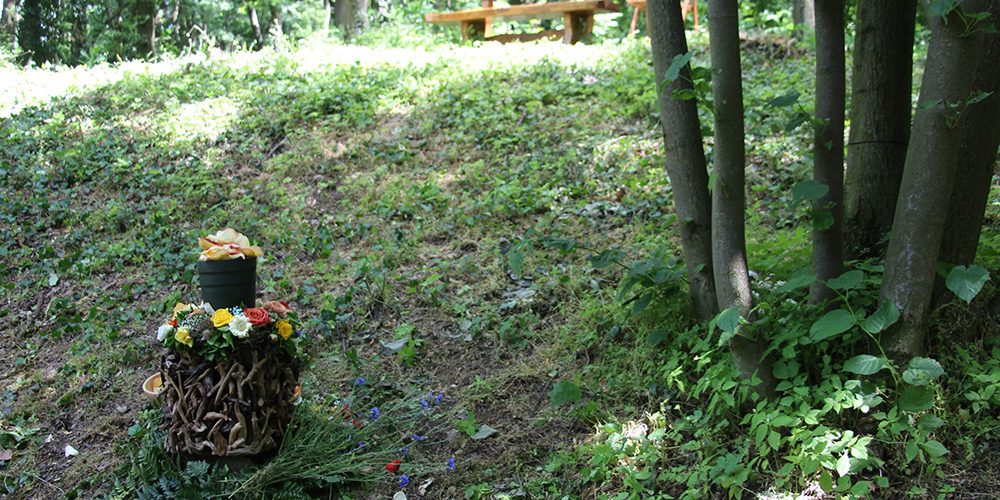 Naturbestattung Baumbestattung am Bisamberg bei Korneuburg Walsfriedhof 1190 Wien In Kooperation mit Naturbestattung GmbH Zadrobilek