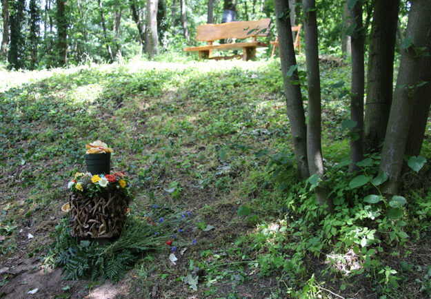 Naturbestattung Baumbestattung am Bisamberg bei Korneuburg Walsfriedhof 1190 Wien In Kooperation mit Naturbestattung GmbH Zadrobilek