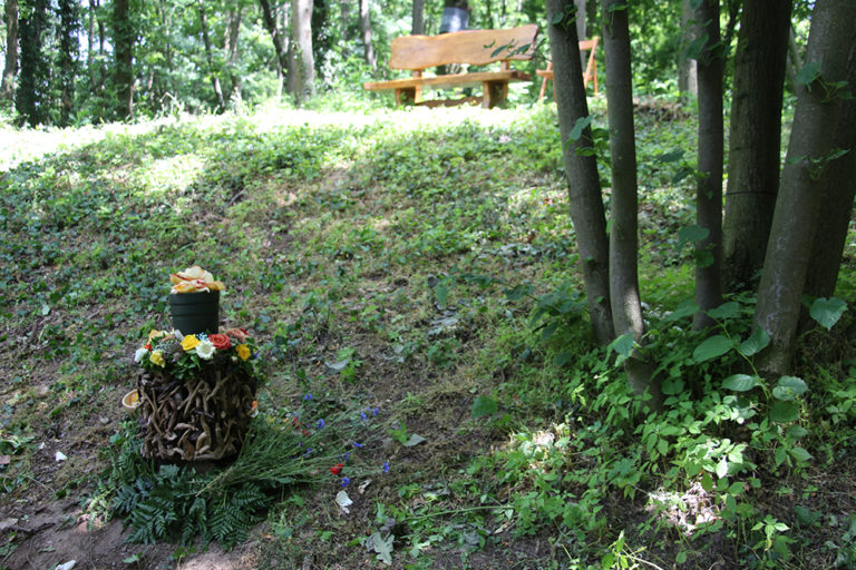 Naturbestattung Baumbestattung am Bisamberg bei Korneuburg Walsfriedhof 1190 Wien In Kooperation mit Naturbestattung GmbH Zadrobilek