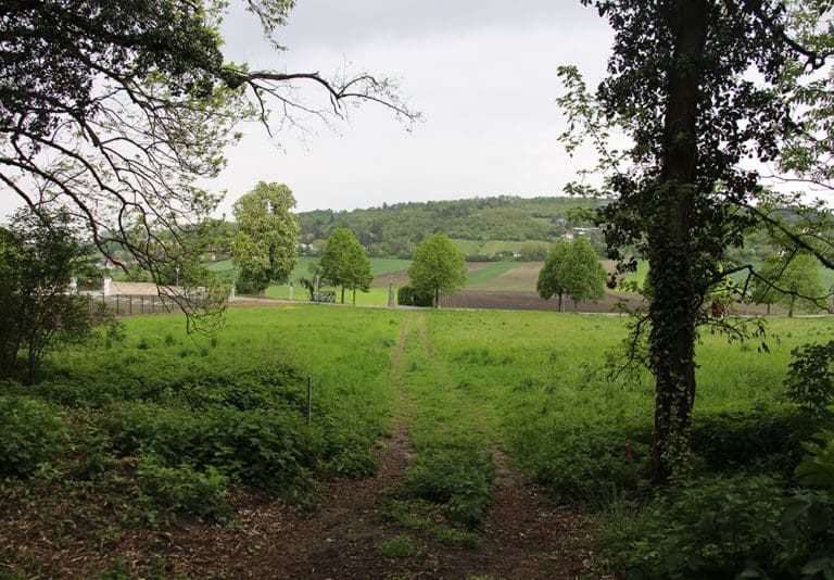 Naturbestattung Baumbestattung am Bisamberg bei Korneuburg Walsfriedhof 1190 Wien In Kooperation mit Naturbestattung GmbH Zadrobilek
