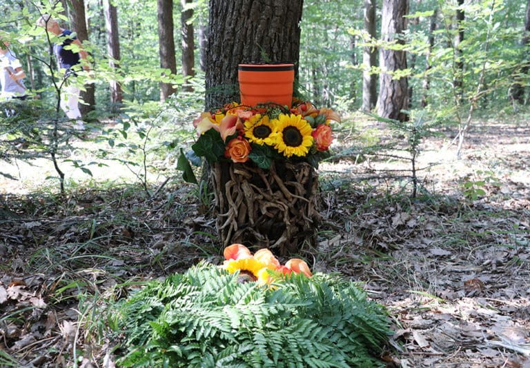 Naturbestattung Baumbestattung Beisetzung am Friedhof Wien Kahlenberger Friedhof_Naturbestattung GmbH Zadrobilek