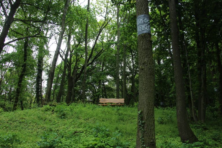 Naturbestattung Baumbestattung am Bisamberg bei Korneuburg In Kooperation mit Naturbestattung GmbH Zadrobilek