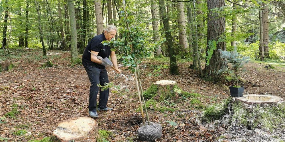 Wald der Ewigkeit Kundl/Tirol Naturbestattungs GmbH