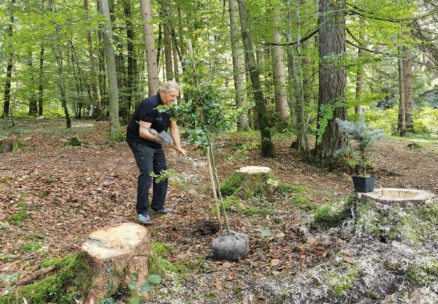 Wald der Ewigkeit Kundl/Tirol Naturbestattungs GmbH