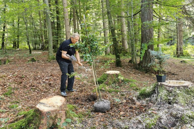 Wald der Ewigkeit Kundl/Tirol Naturbestattungs GmbH