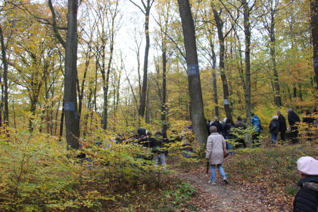 Allerheiligen Allerseelen Naturbestattung Baumbestattung