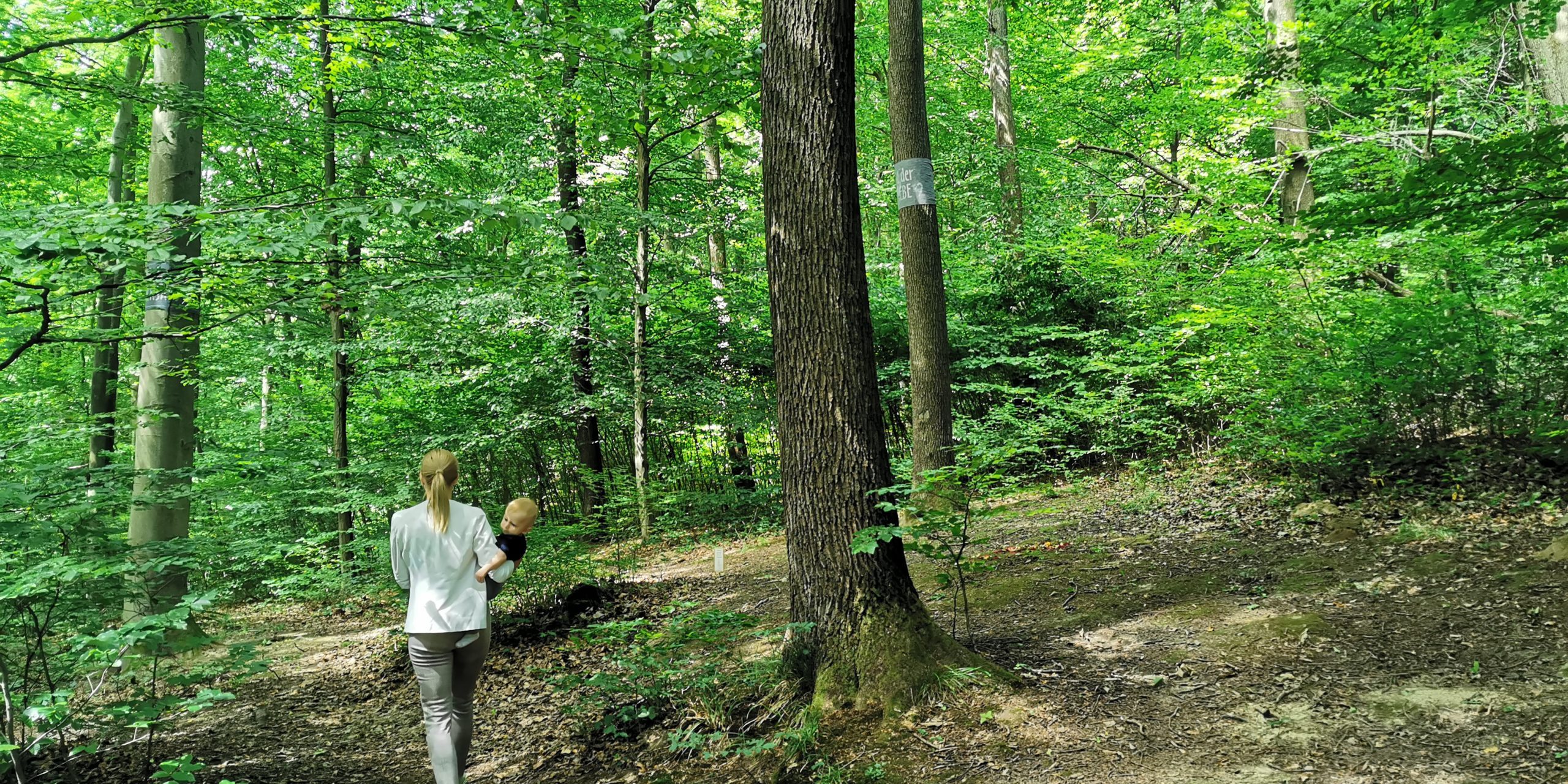 Die Natur im Wald der Ewigkeit genießen Naturbestattung GmbH