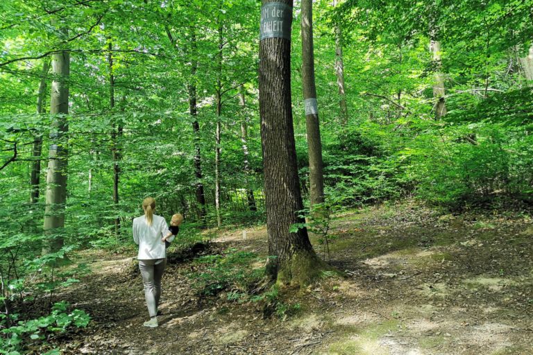Die Natur im Wald der Ewigkeit genießen Naturbestattung GmbH