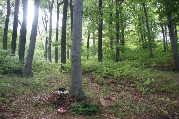 Baumbestattung im Klosterwald Kahlenberg Naturbestattung GmbH