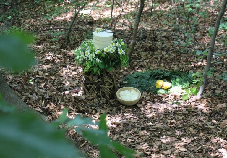 Baumbestattung im Klosterwald Kahlenberg Naturbestattung GmbH