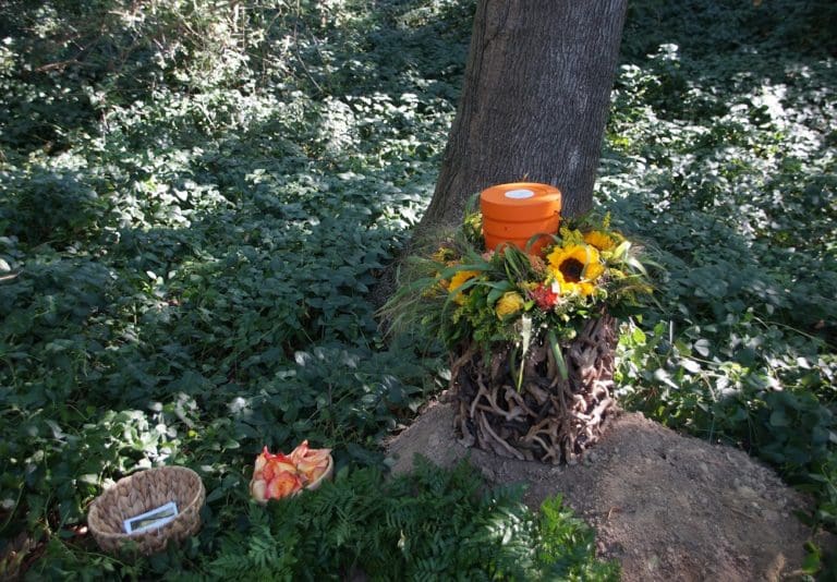 Baumbestattung am Wiener Zentralfriedhof