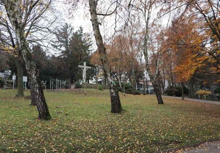 Baumbestattung am Friedhof Neustift